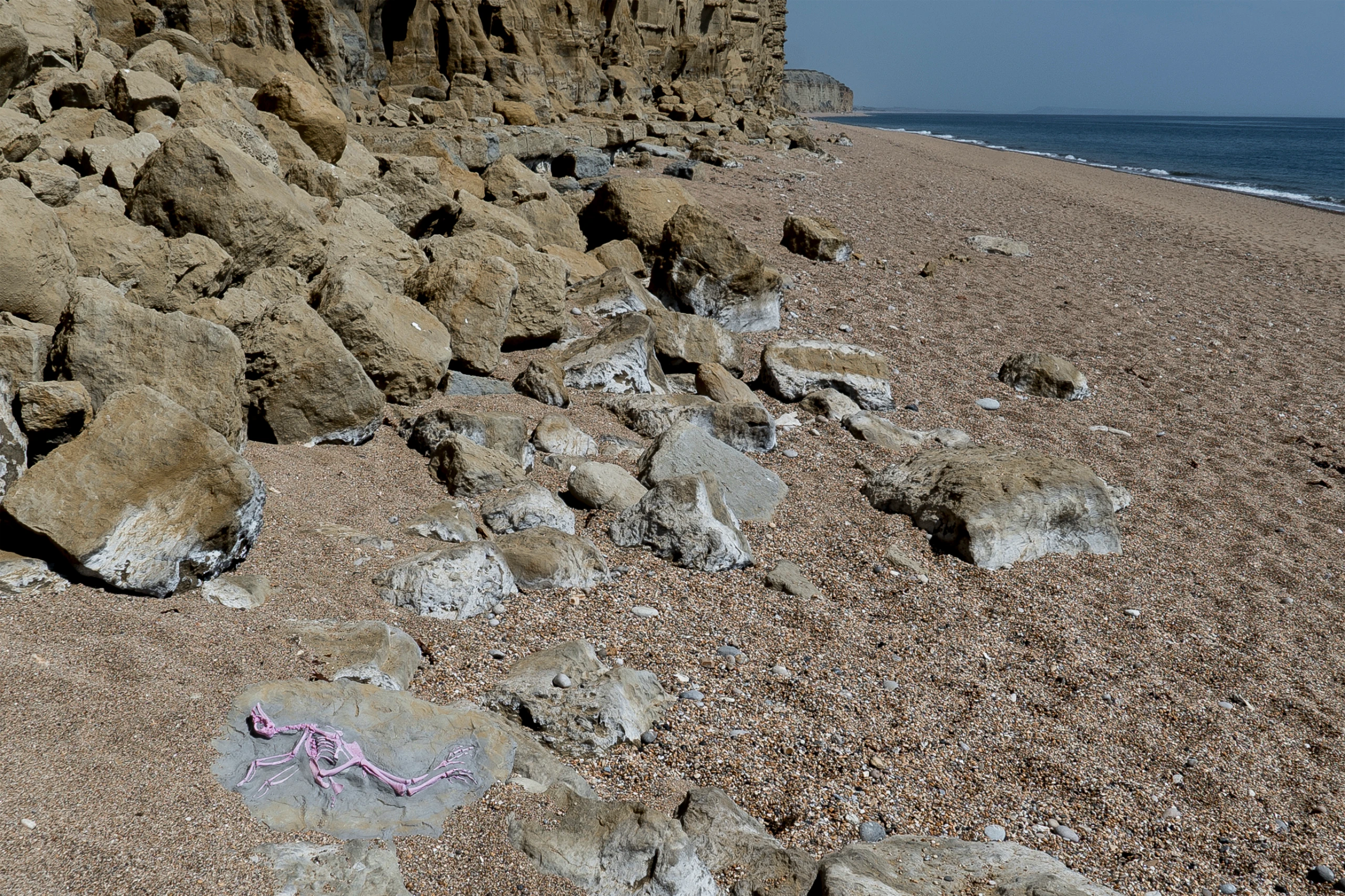 Pink Chicken Fossil, Scunthorpe Poultry Processing Site, UK, 80-83 million years in future